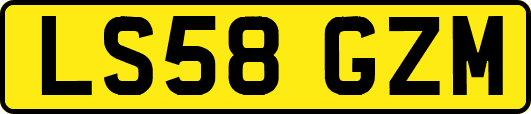 LS58GZM