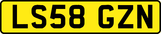 LS58GZN