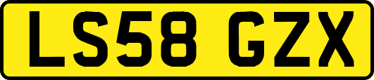 LS58GZX