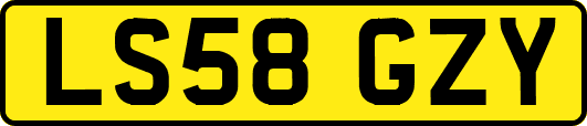 LS58GZY