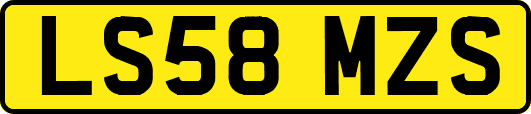 LS58MZS