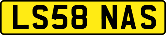 LS58NAS