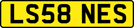 LS58NES
