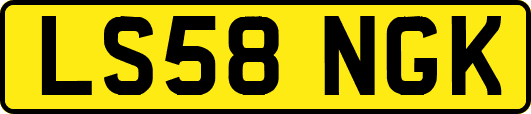 LS58NGK