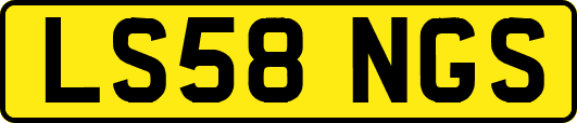 LS58NGS