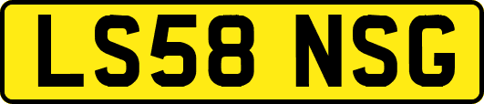 LS58NSG