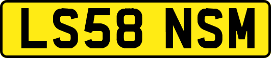 LS58NSM