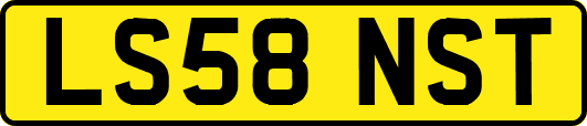 LS58NST
