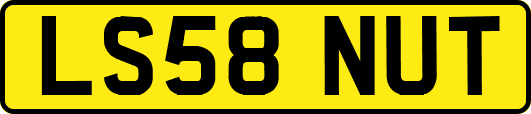 LS58NUT
