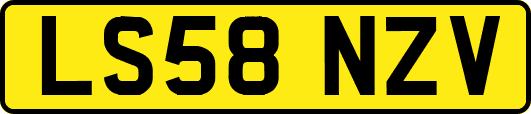 LS58NZV