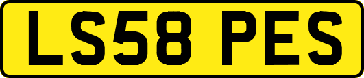 LS58PES