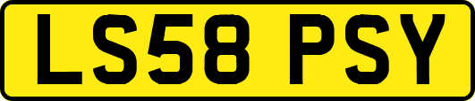 LS58PSY