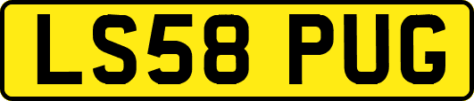 LS58PUG