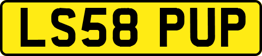 LS58PUP