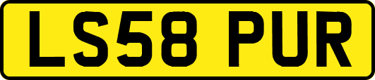 LS58PUR