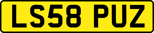 LS58PUZ