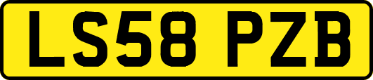 LS58PZB