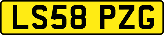 LS58PZG
