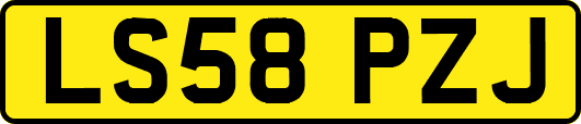 LS58PZJ