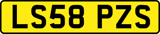 LS58PZS