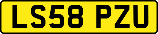LS58PZU