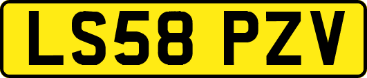 LS58PZV