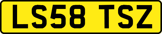 LS58TSZ