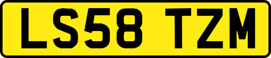 LS58TZM