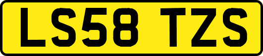 LS58TZS
