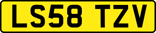 LS58TZV