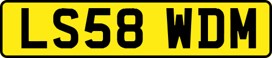 LS58WDM