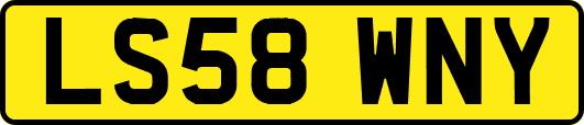 LS58WNY