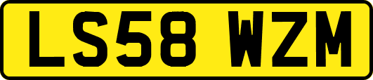 LS58WZM