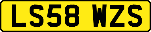 LS58WZS