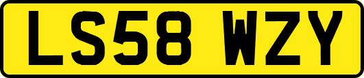 LS58WZY