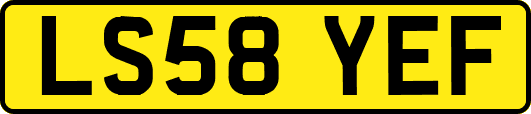 LS58YEF