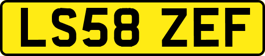 LS58ZEF