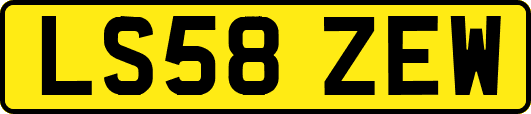 LS58ZEW