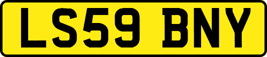 LS59BNY