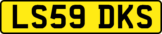 LS59DKS