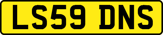 LS59DNS
