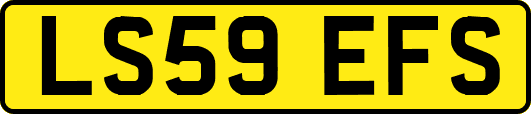 LS59EFS