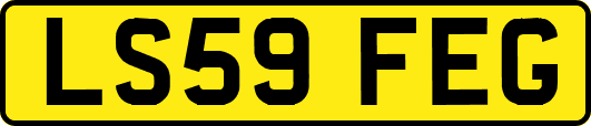 LS59FEG