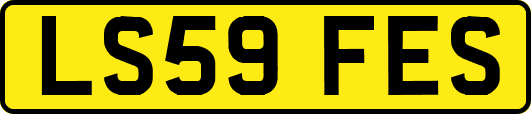 LS59FES