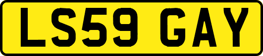 LS59GAY