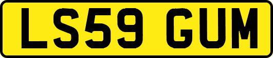 LS59GUM