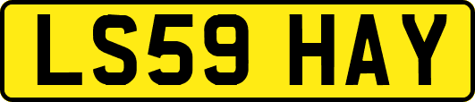 LS59HAY