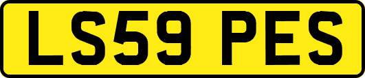 LS59PES