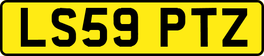 LS59PTZ