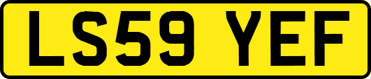 LS59YEF